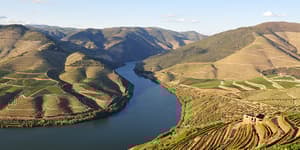 PTPGA Regua Douro.jpg Photo